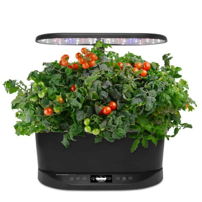 AeroGarden Tomatoes