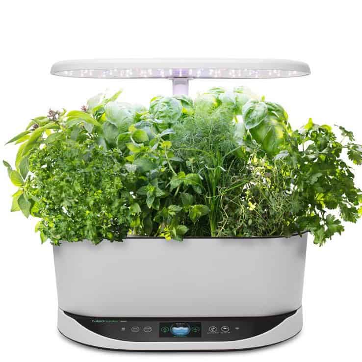 AeroGarden Bounty 1 1