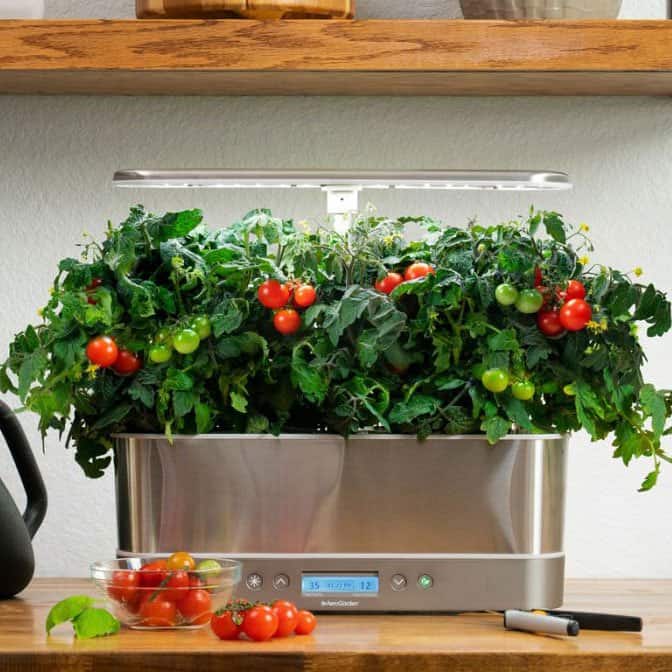 AeroGarden Harvest Elite Slim, Cherry tomatoes