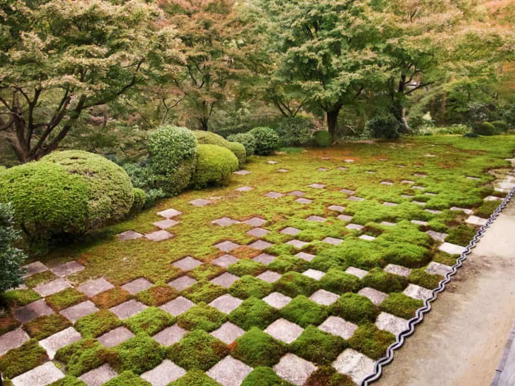 Checkerboard Rock Garden