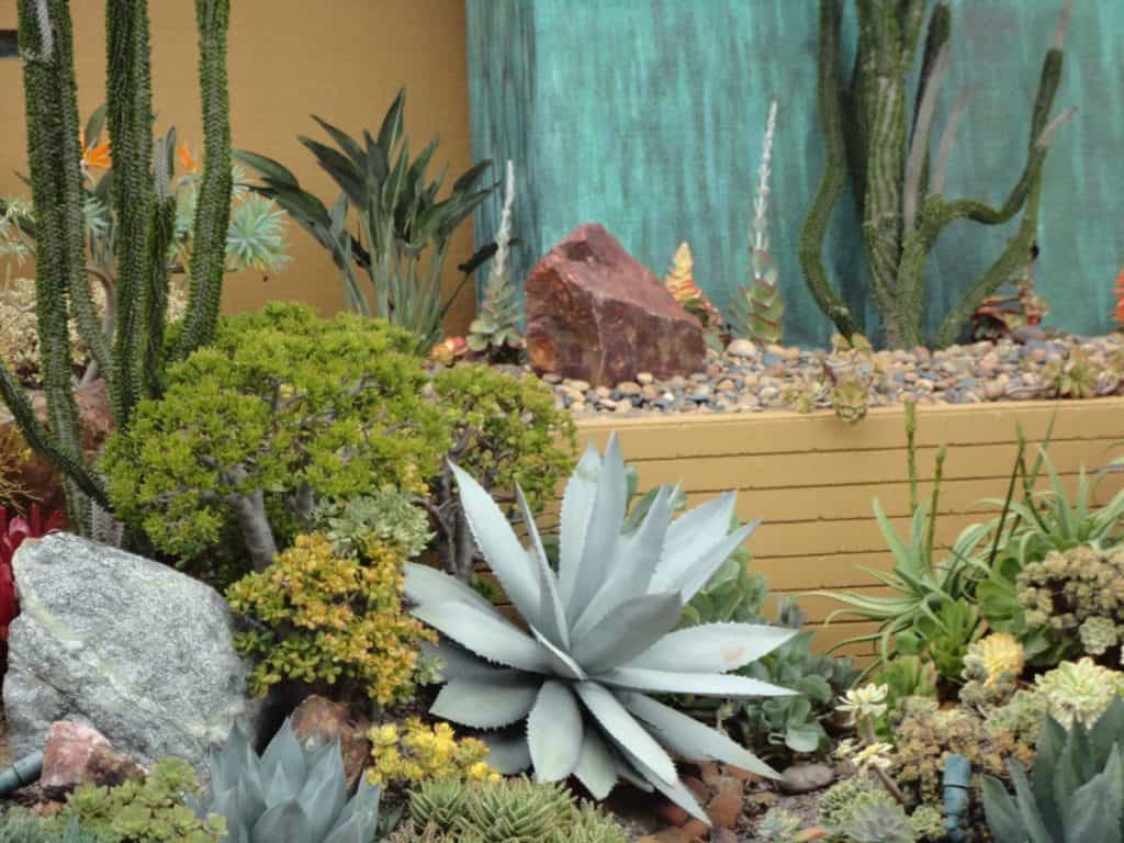 Desert Rock Garden