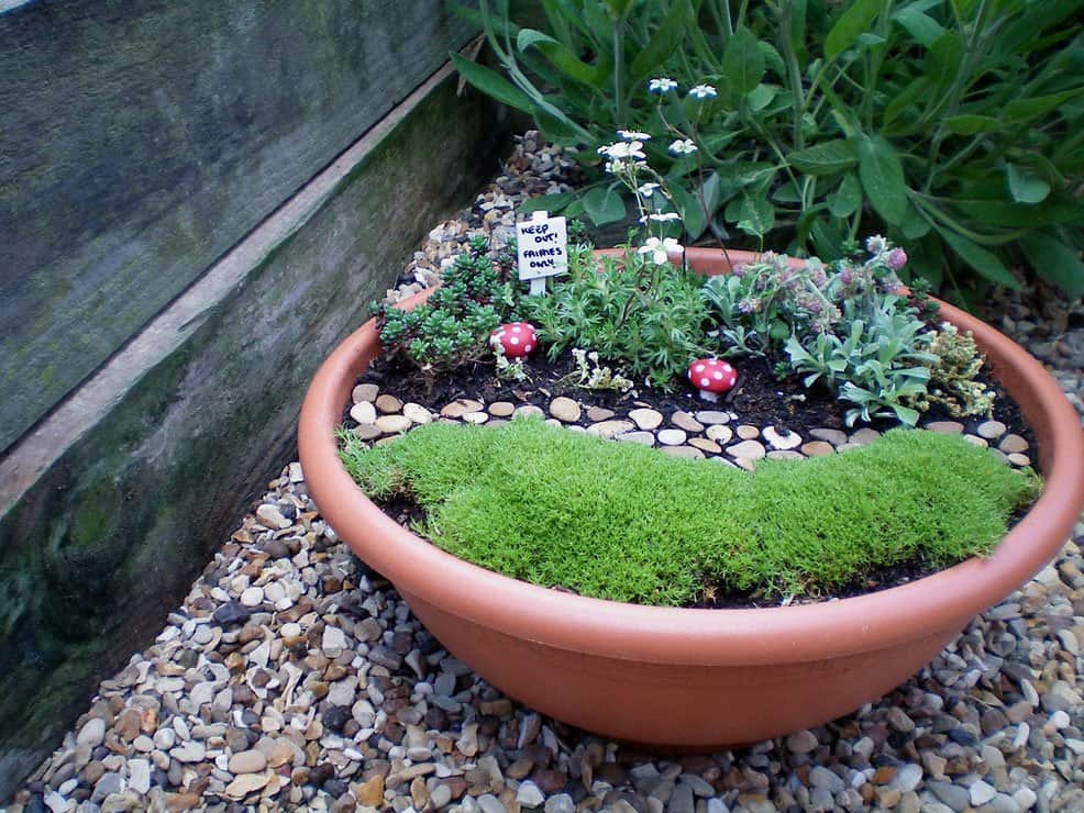 Mini rock garden