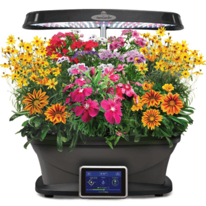 Aerogarden flowers