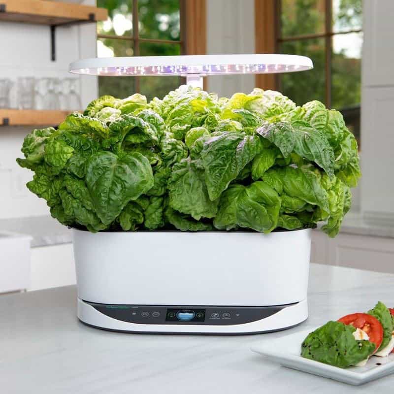 AeroGarden Bounty White