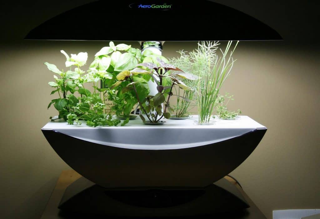 Aerogarden