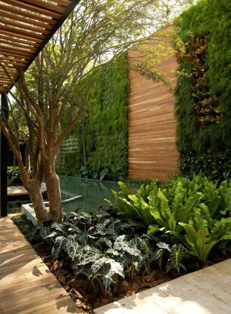 walled-garden-privacy-fence
