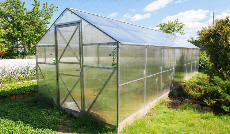 Plastic Greenhouse