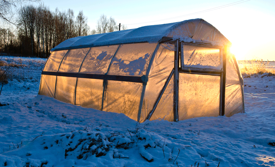 Winter greenhouse