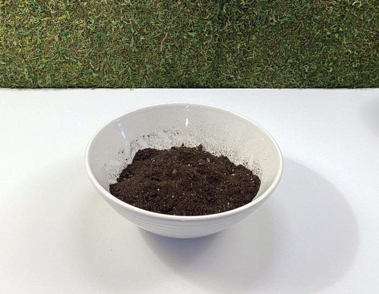 New potting soil