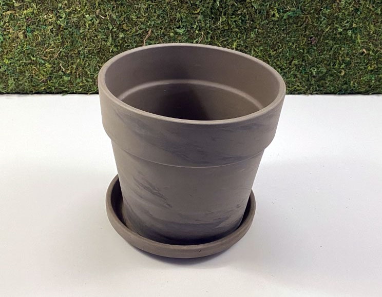 New pot for money tree