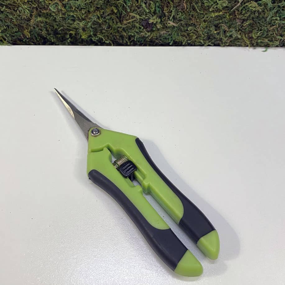 Green garden shears