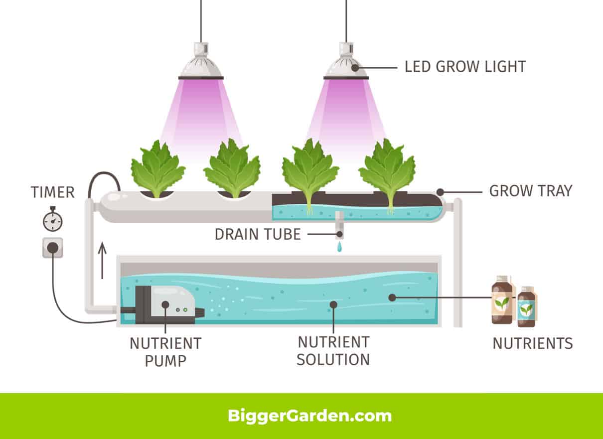 Deep Water Culture Setup 1