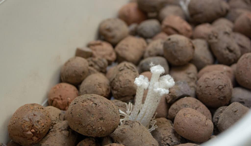 Wick system hydroponics