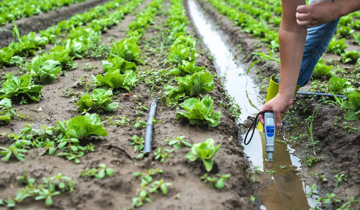 pH meter in field