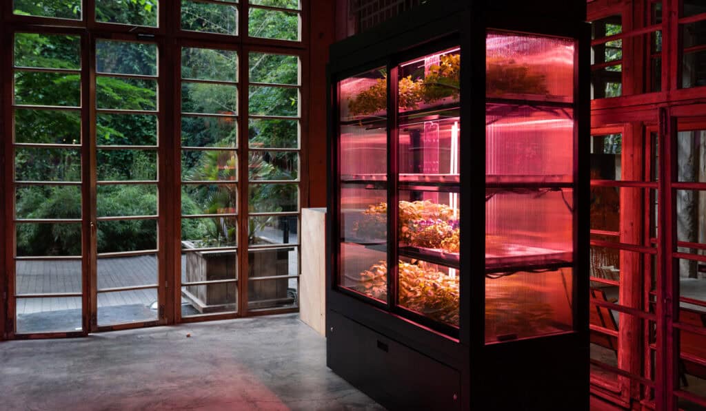 Hydroponic cabinet