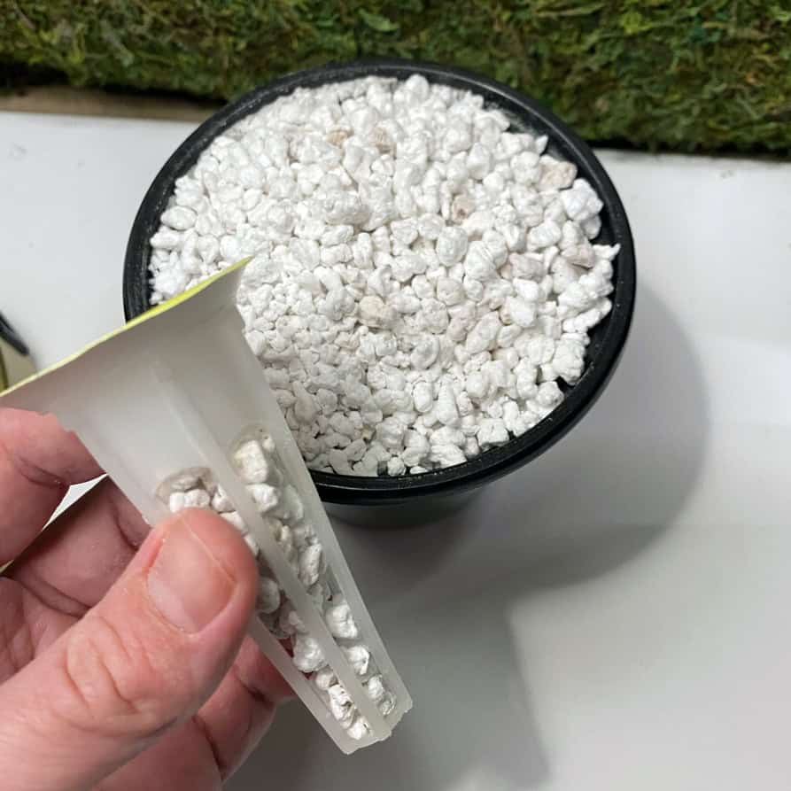 Hydroponic pod with perlite