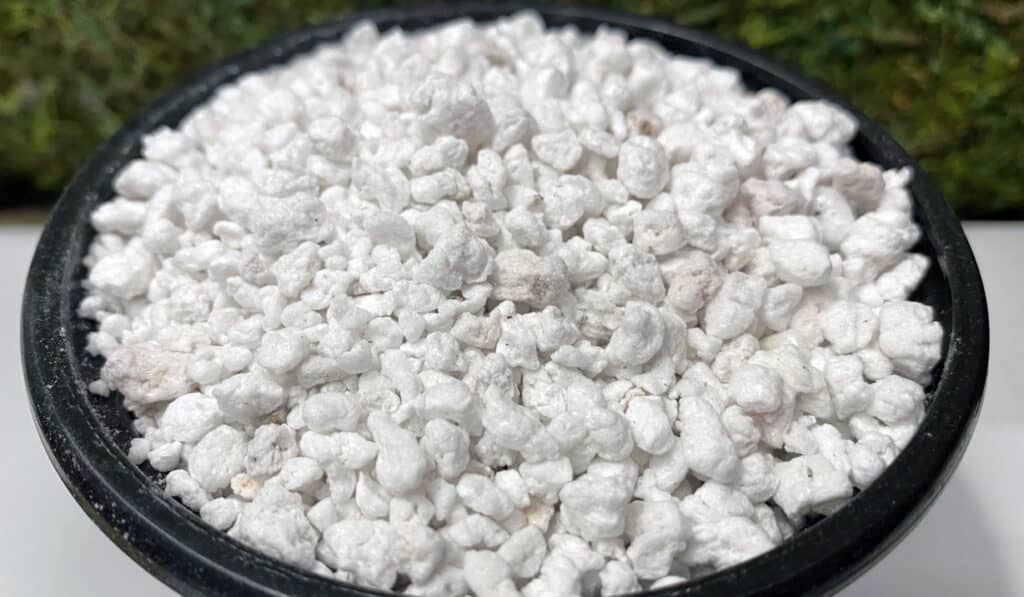 Perlite in container