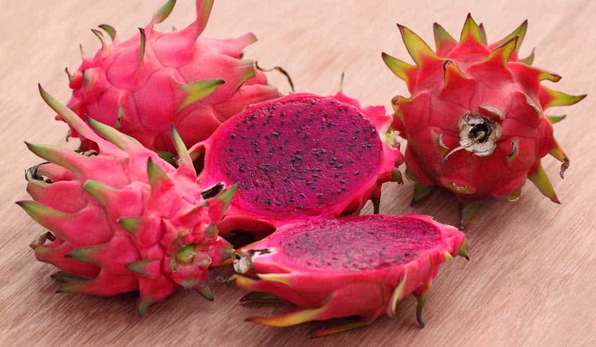 Harvested Dragon Fruit