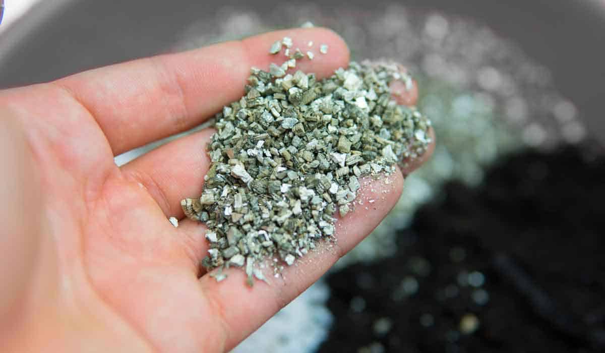 Vermiculite in hand