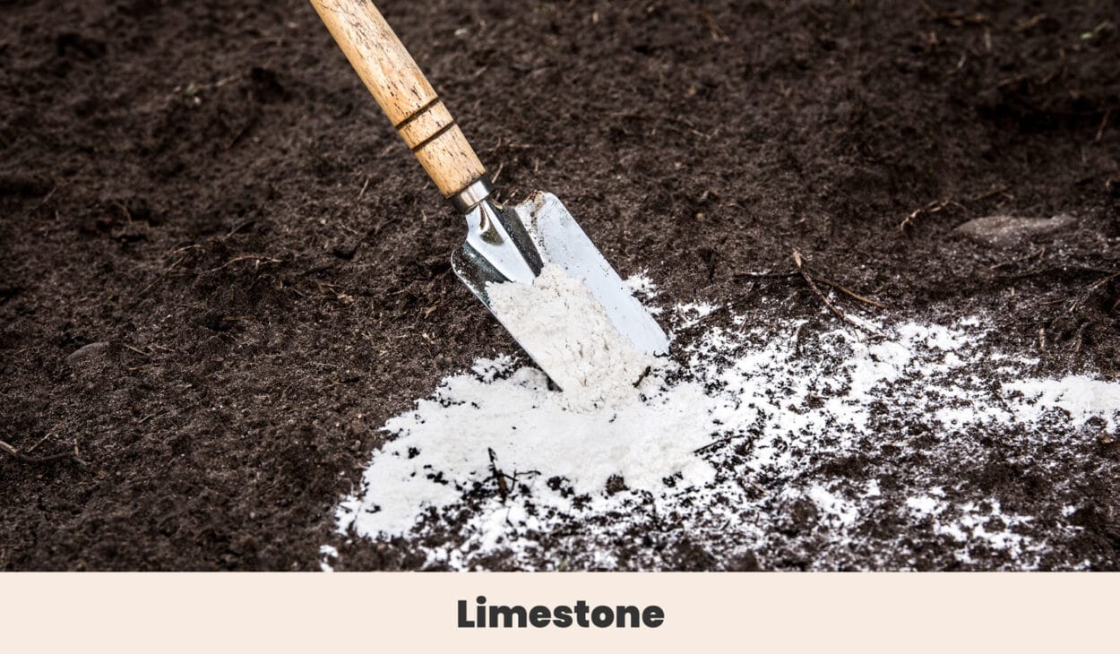 Limestone