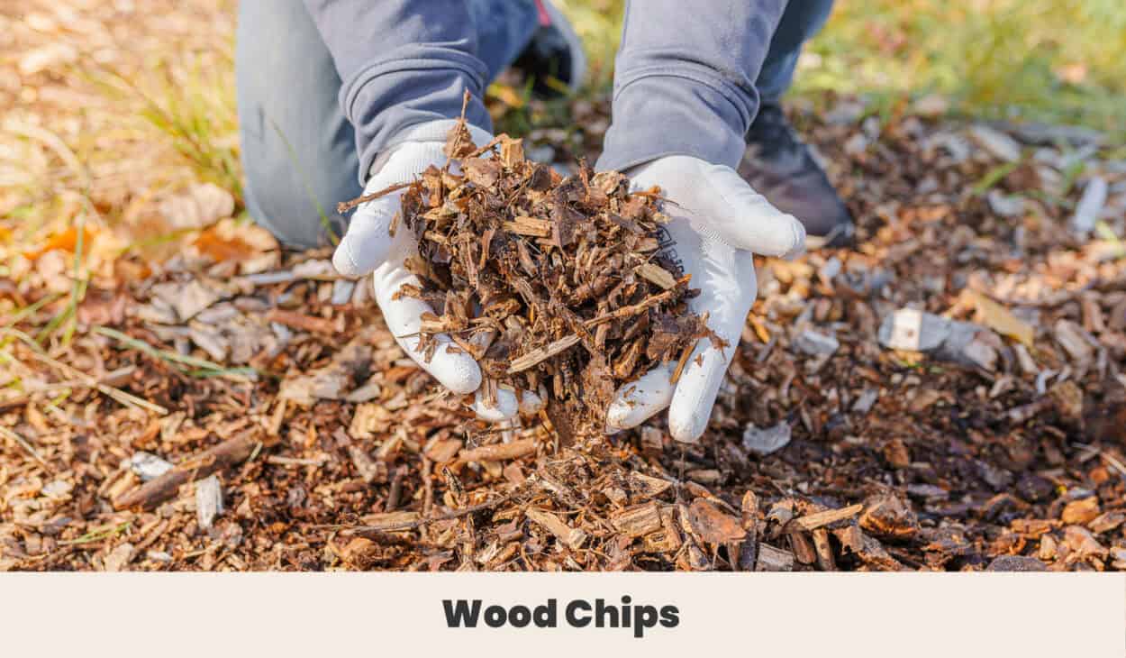 Wood Chips