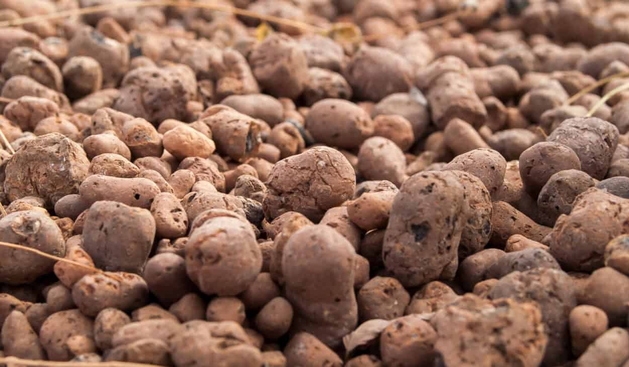 Expanded Clay