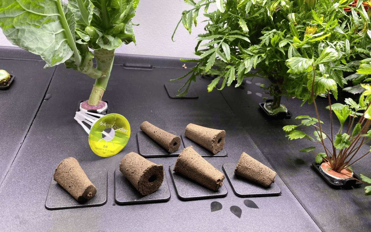 Assorted-grow-sponges