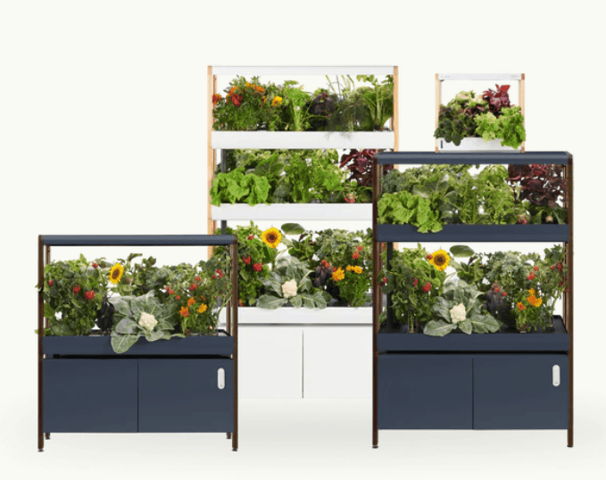 Rise Garden kits