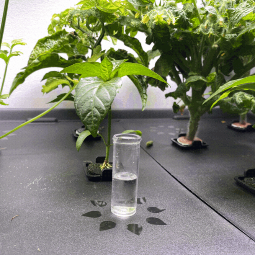 Water pH GIF