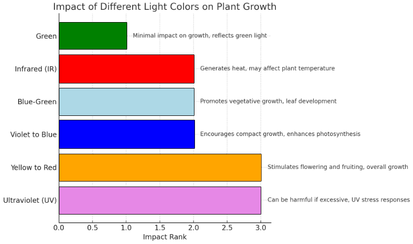 imact of light on plants