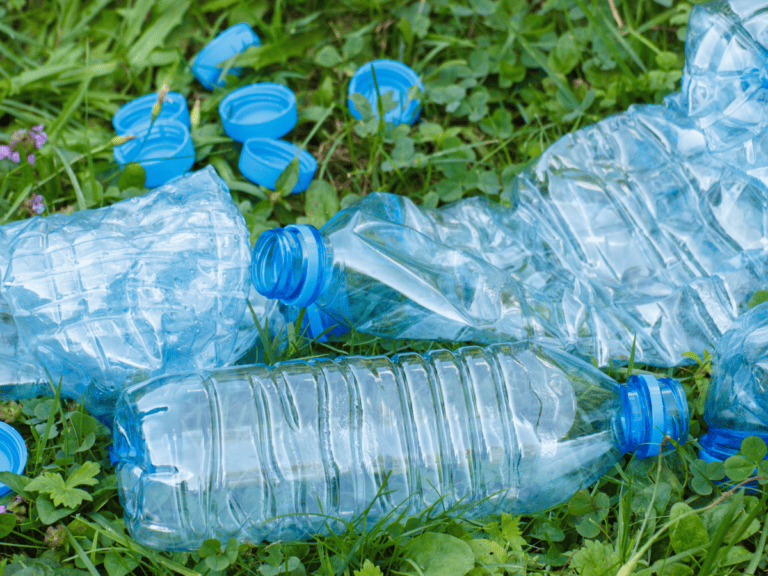 Stop Overspending on Ant Traps—Make Your Own for 2 Cents!