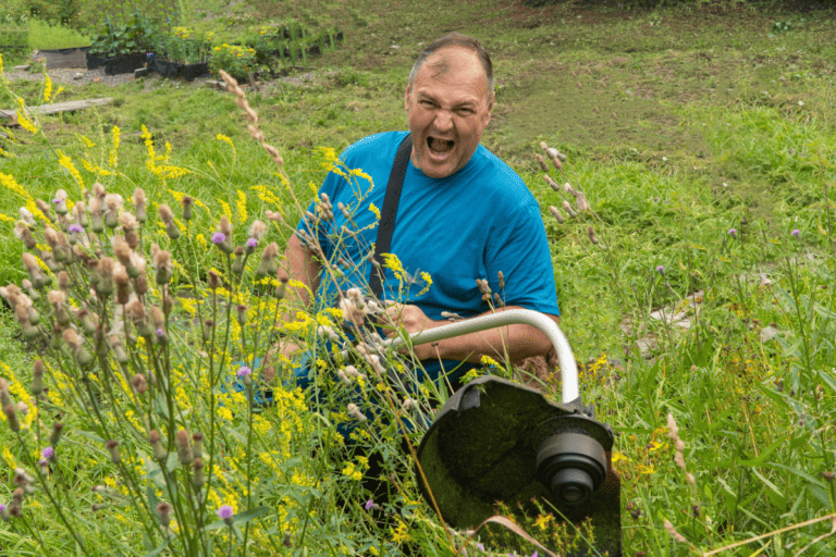 Dealing with a Neighbor’s Disrespect for Wild Gardens