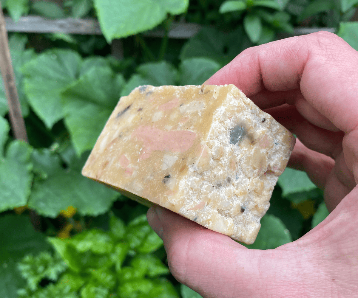 Bar of castile soap
