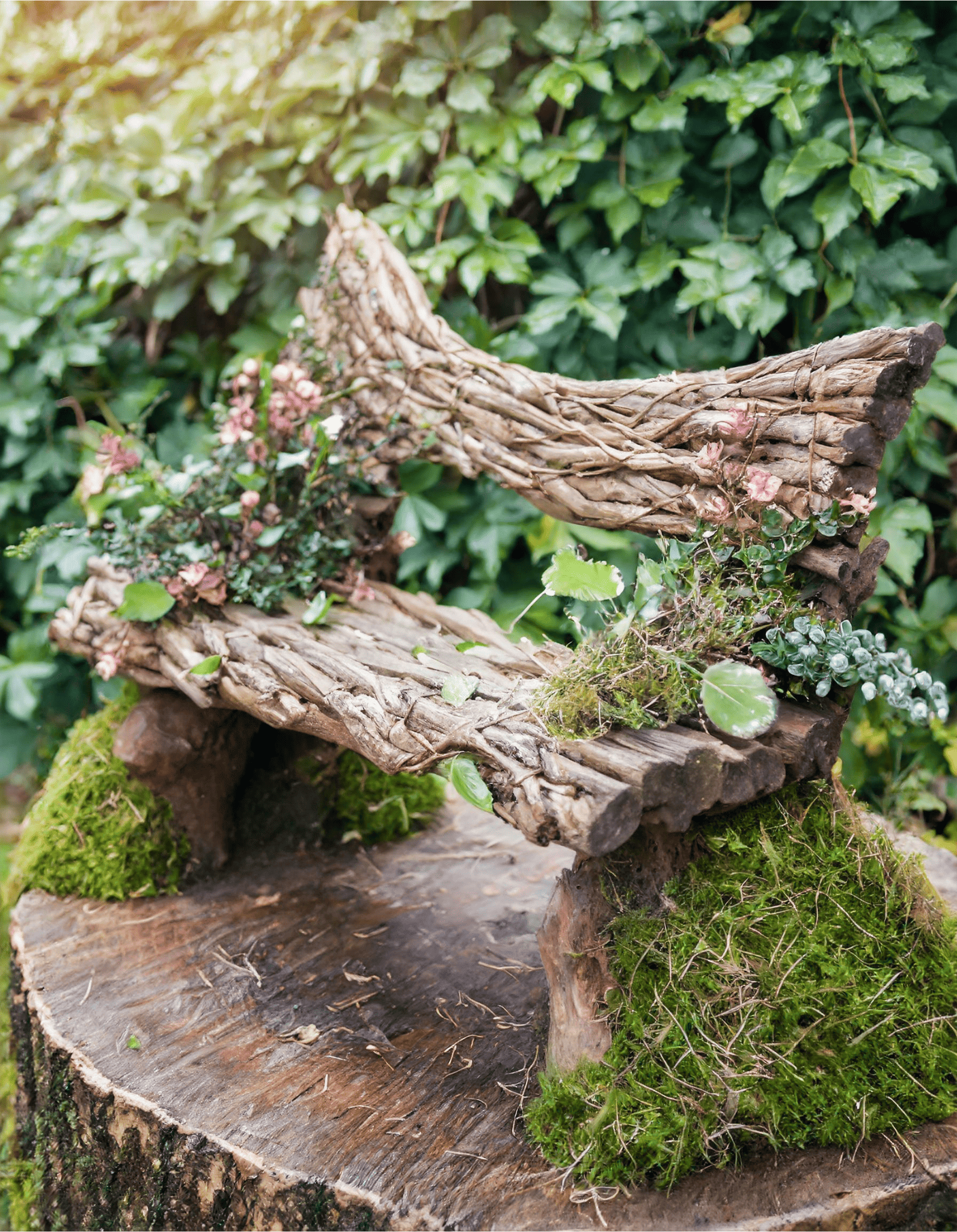 bench