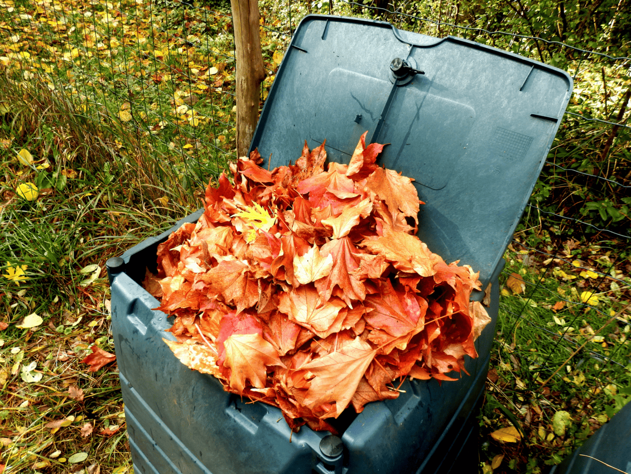leaf compost