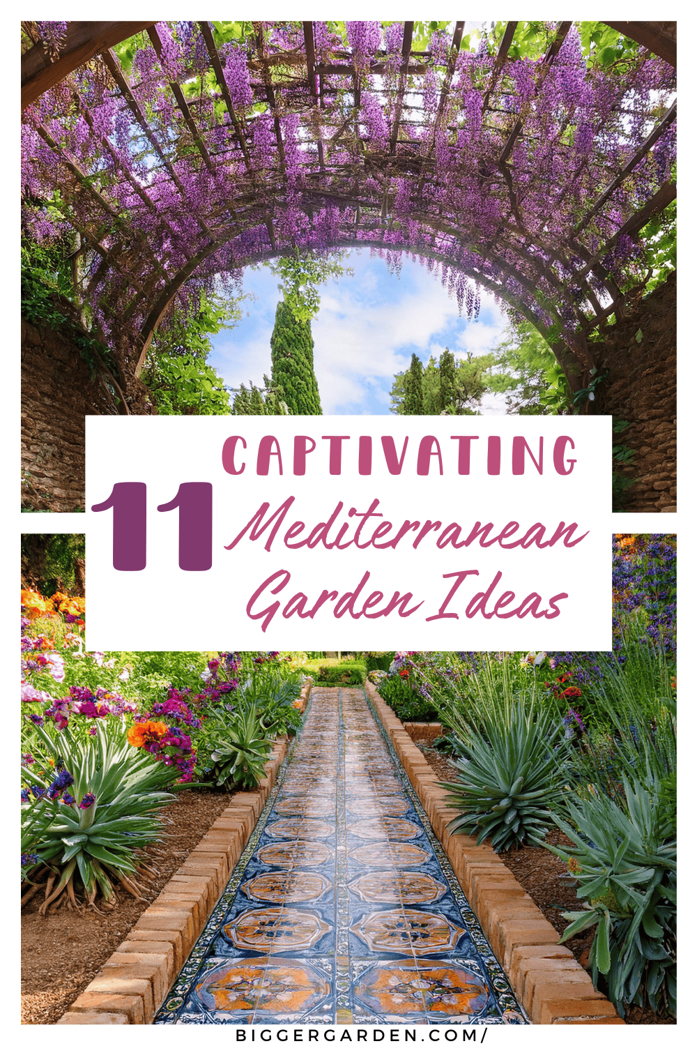 Mediterranean garden ideas