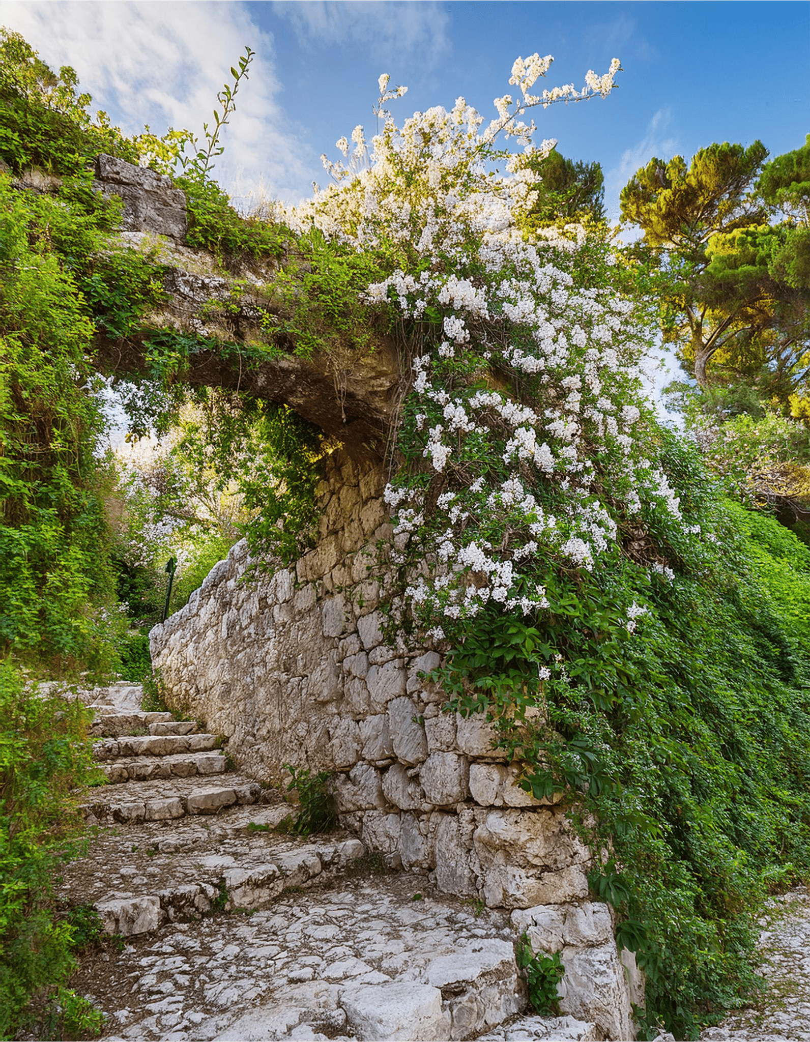 Stone Jasmin
