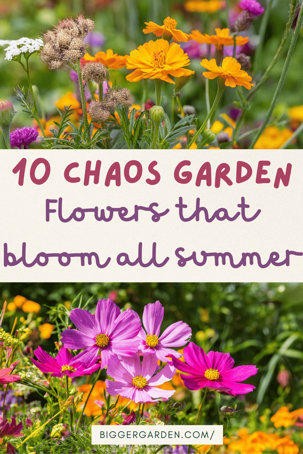 Chaos flowers