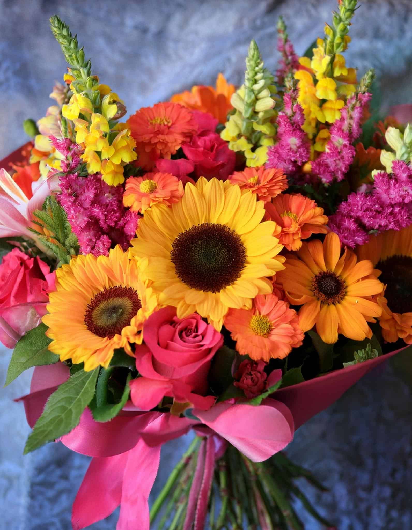 Snapdragon sunflowers 2