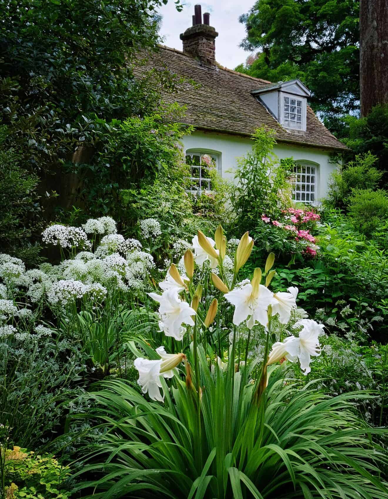 12 Ideas To Explore Different Color Schemes To Try in Cottage Gardens ...