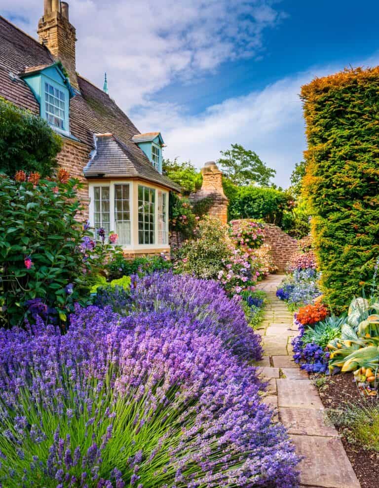 charming-cottage-style-front-yard-landscaping-ideas-to-create-a