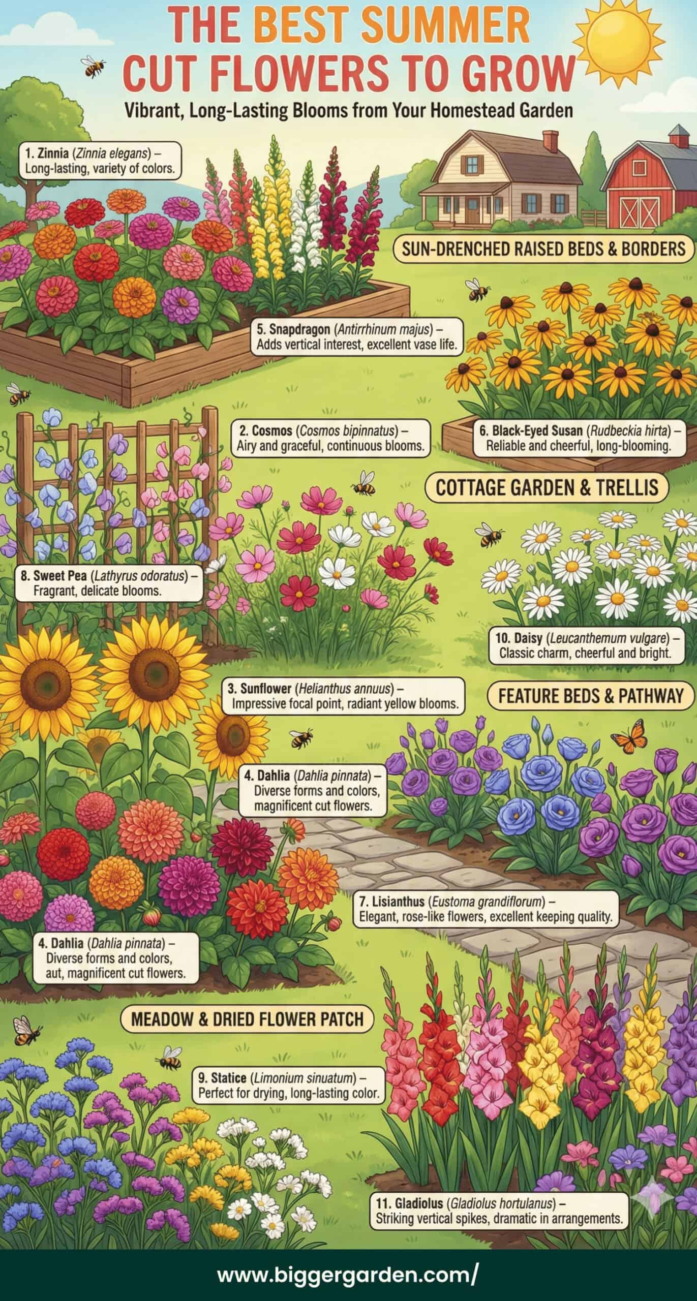 bEST sUMMER CUT FLOWERS scaled