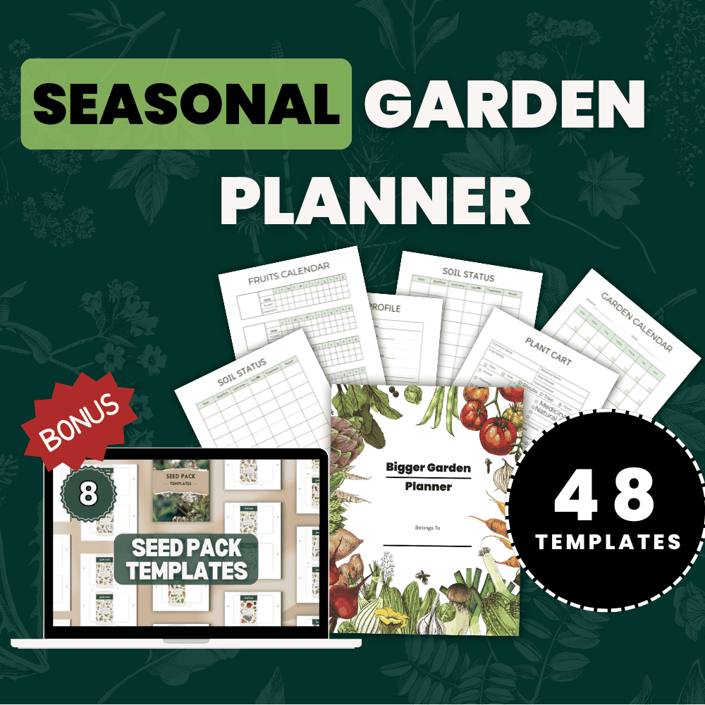 Free summer planner 48 pages 1000 x 1000 px 1