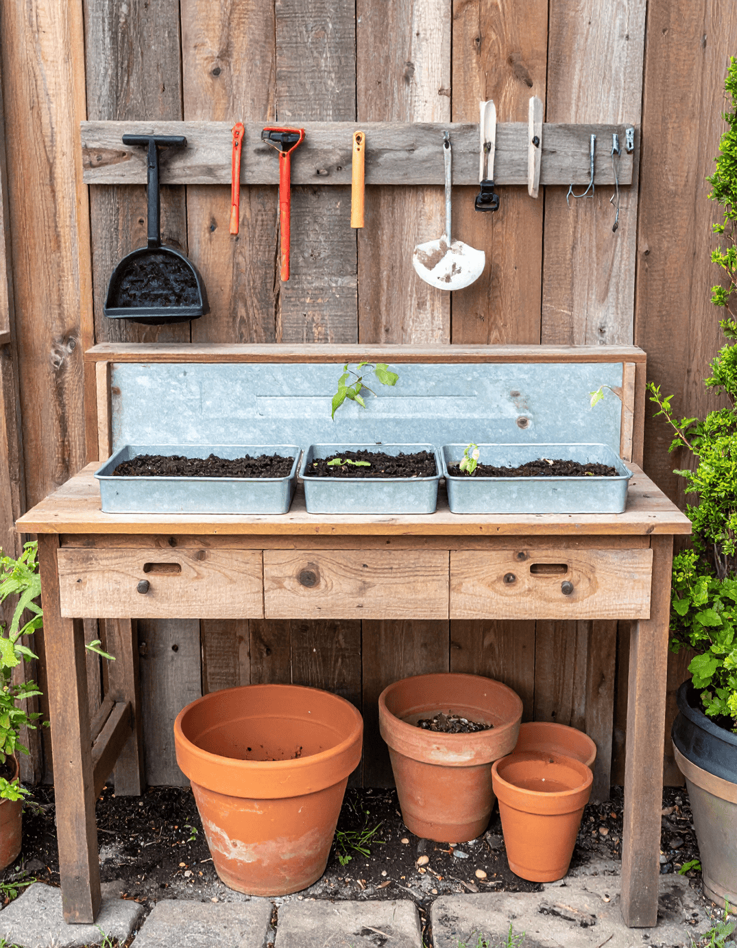 1 galvinized sink seedling station