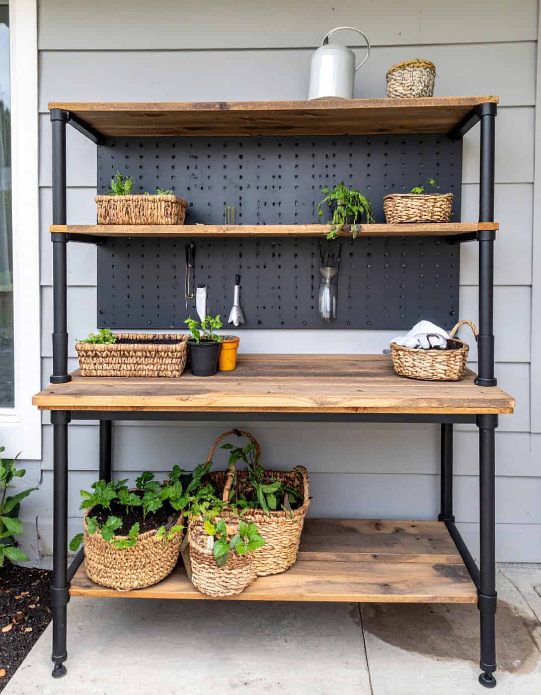 Steampunk rustic pegboard seedling station