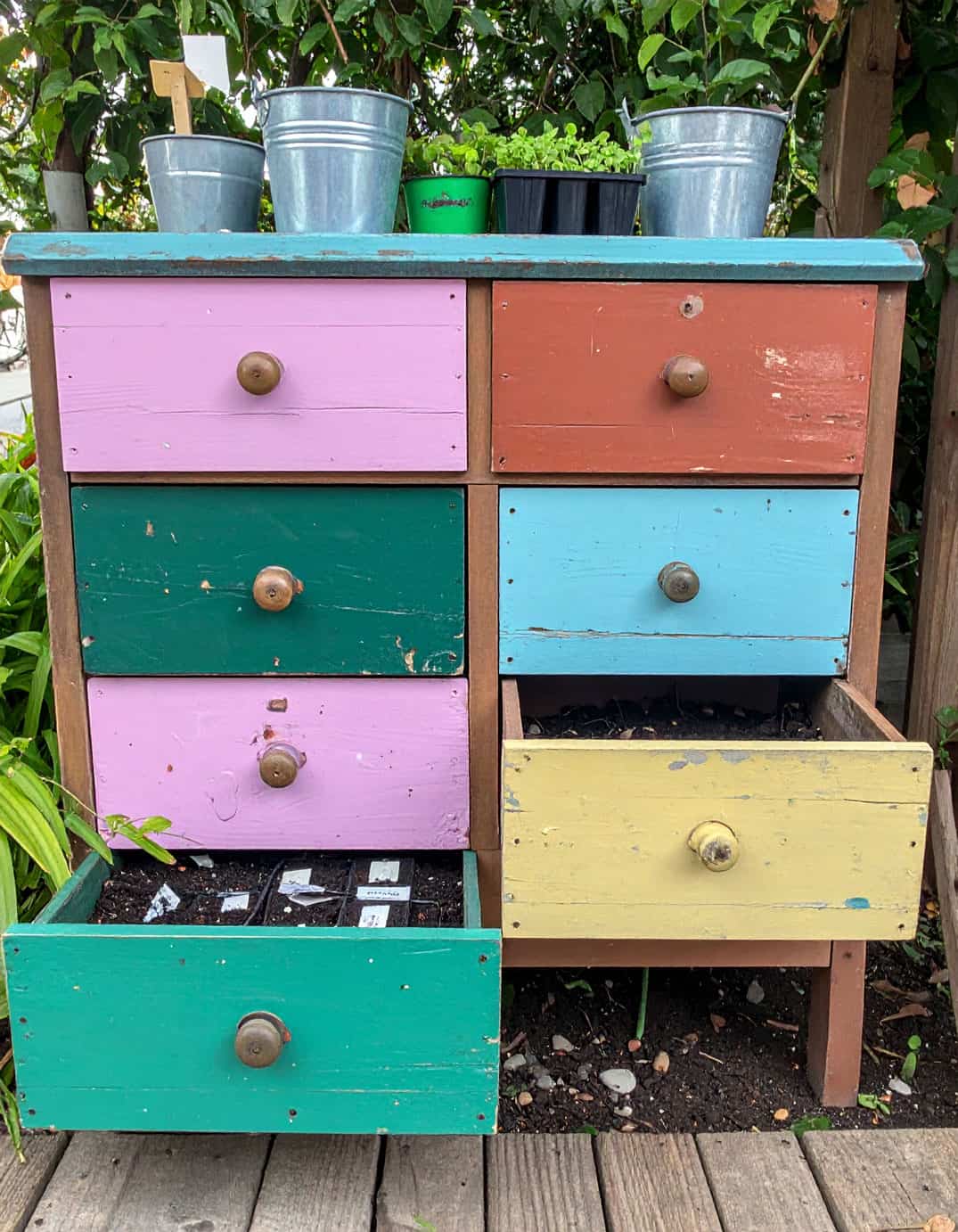 antique seedling station