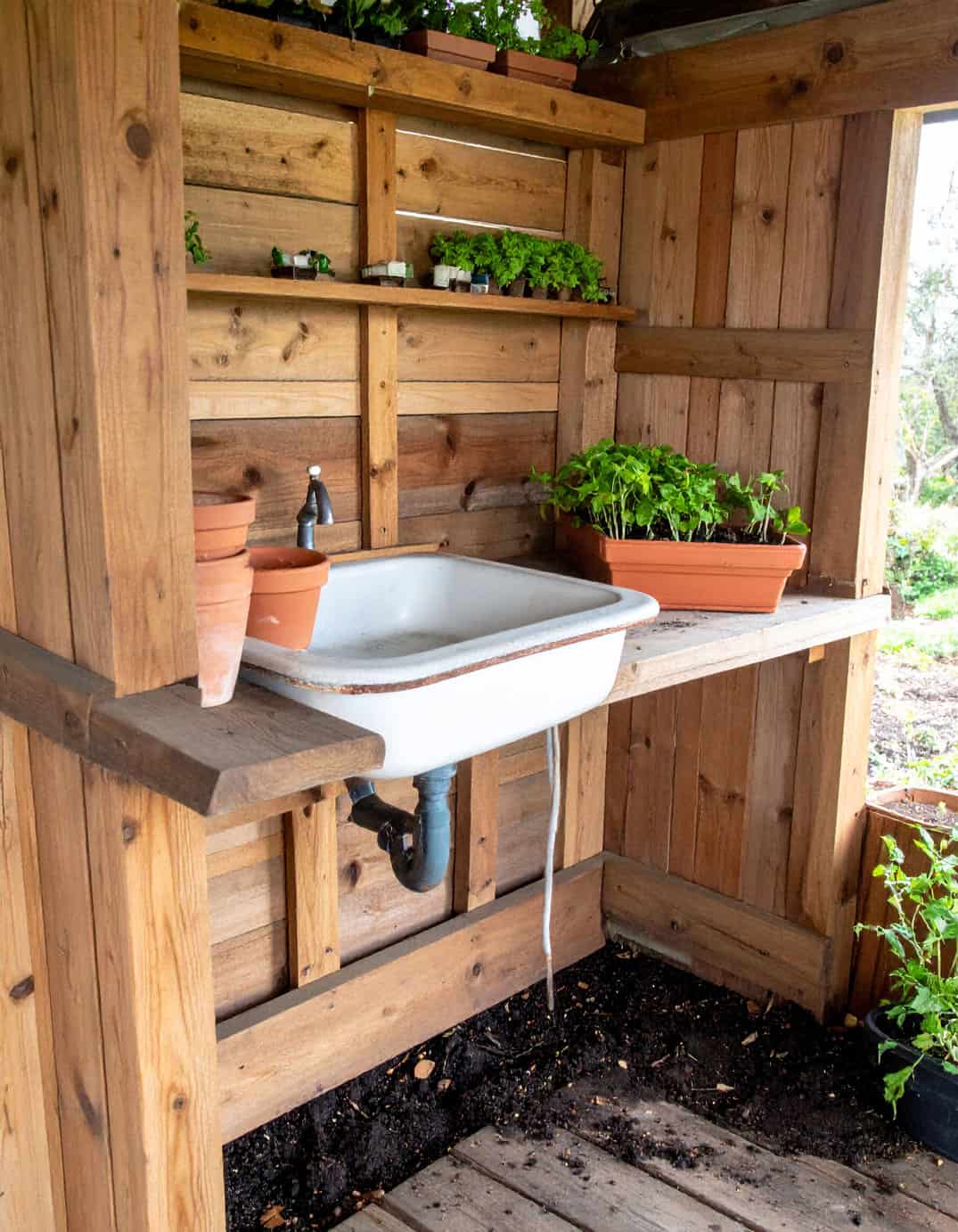 enamel skink potting area