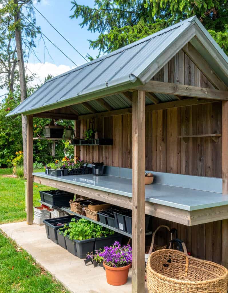 outdoor shed seedling station
