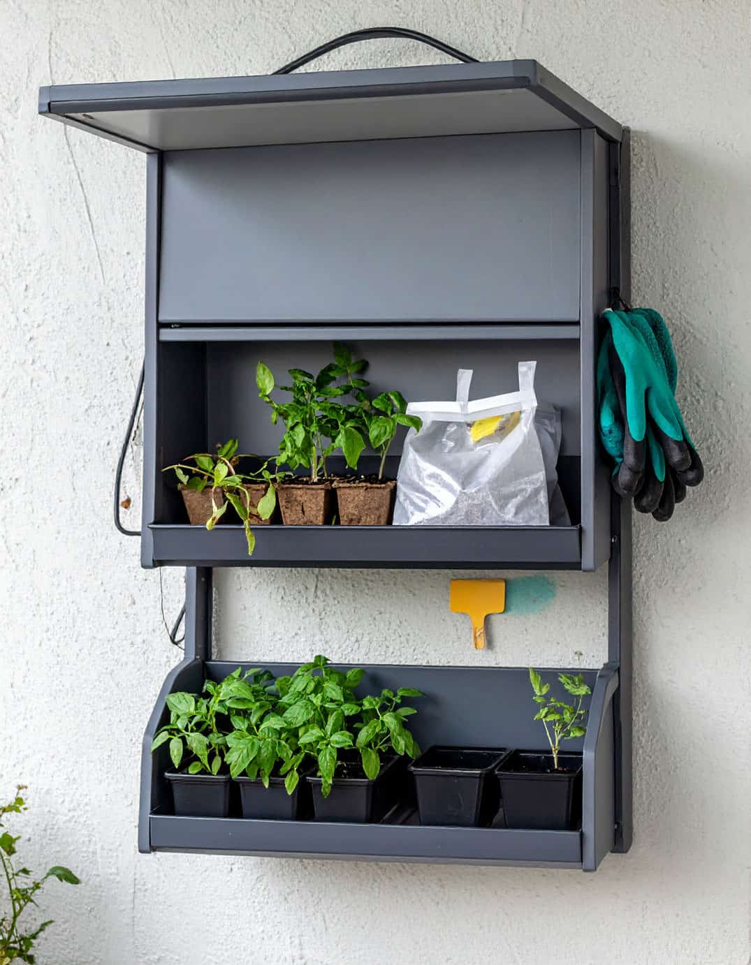 wall mounted seedling station