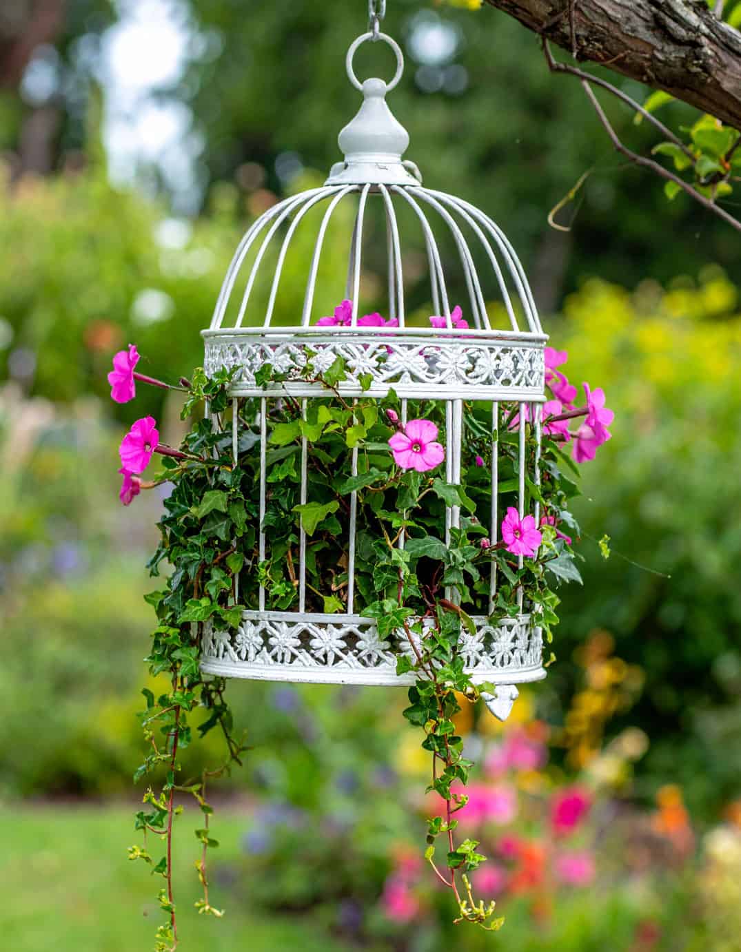 Shabby Chic bird cage